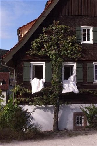 Gutshof-Hotel Waldknechtshof Baiersbronn Eksteriør billede